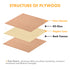 3mm Red Beech Plywood (6pcs)