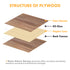 Longer Diversified Plywood Sheets for Your DIY Projects (11.8" x 11.8“ x 0 .118”)